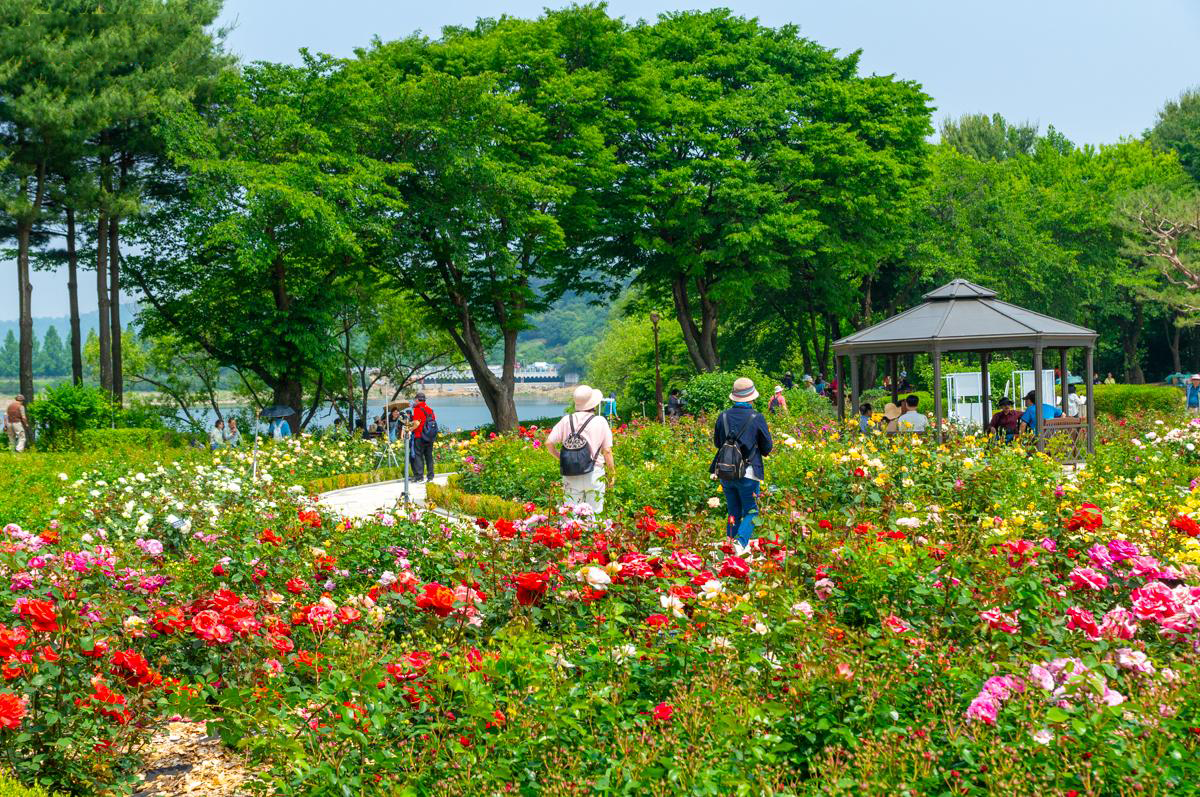 du-lich-han-quoc-thang-5-le-hoi-diem-den-am-thuc-1.png