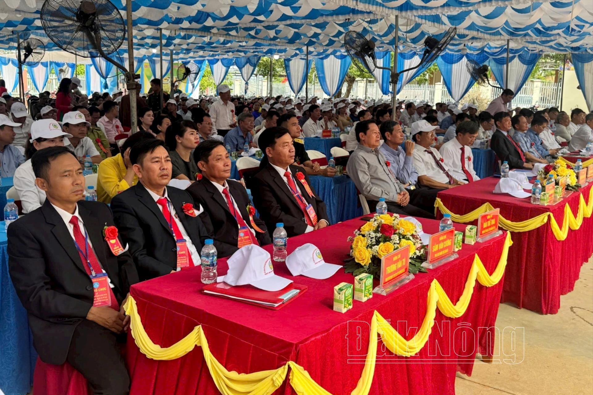 ntm-nam-dong1(1).jpg