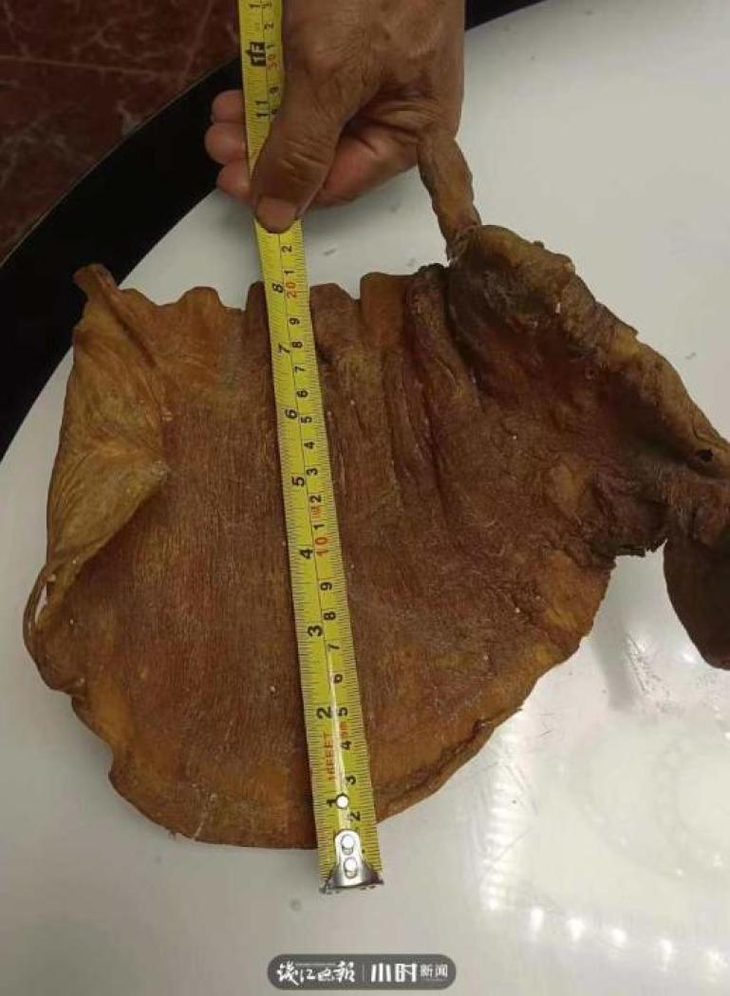Dọn nhà nhặt được bong bóng cá khô, ai ngờ là báu vật tiền tỷ - Hình 6 Don nha nhat duoc bong bong ca kho, ai ngo la bau vat tien ty-Hinh-6
