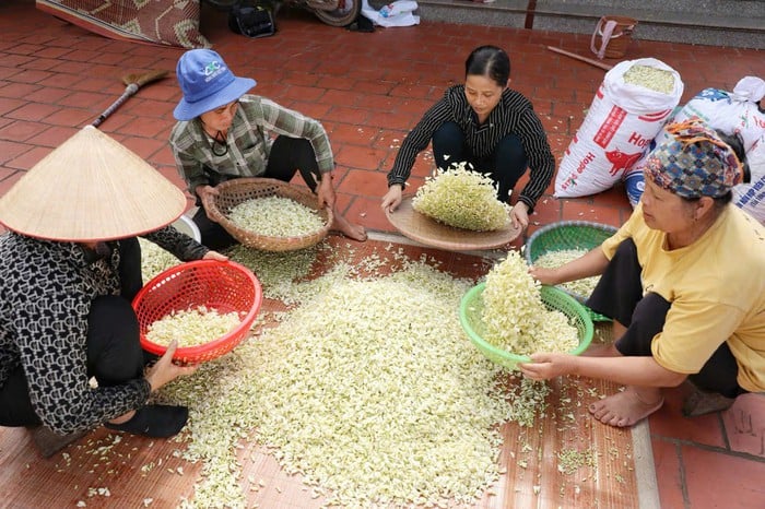 Nữ giám đốc khởi nghiệp từ "cây giữ nhà" - Ảnh 3.