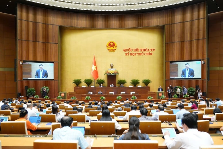 Không phân biệt thanh tra hành chính và thanh tra chuyên ngành- Ảnh 2.