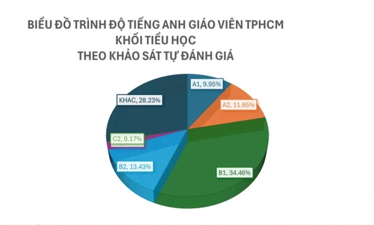 khảo sát năng lực - Ảnh 2.