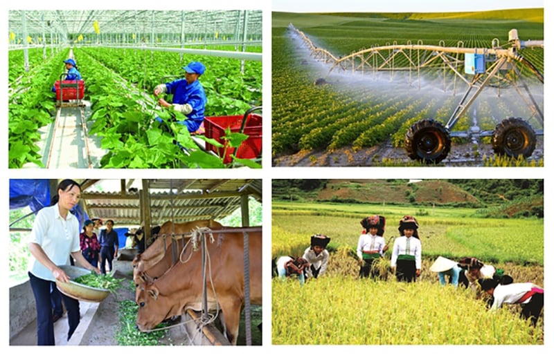 Tổng điều tra nông thôn, nông nghiệp 2025 từ 1-30/7.