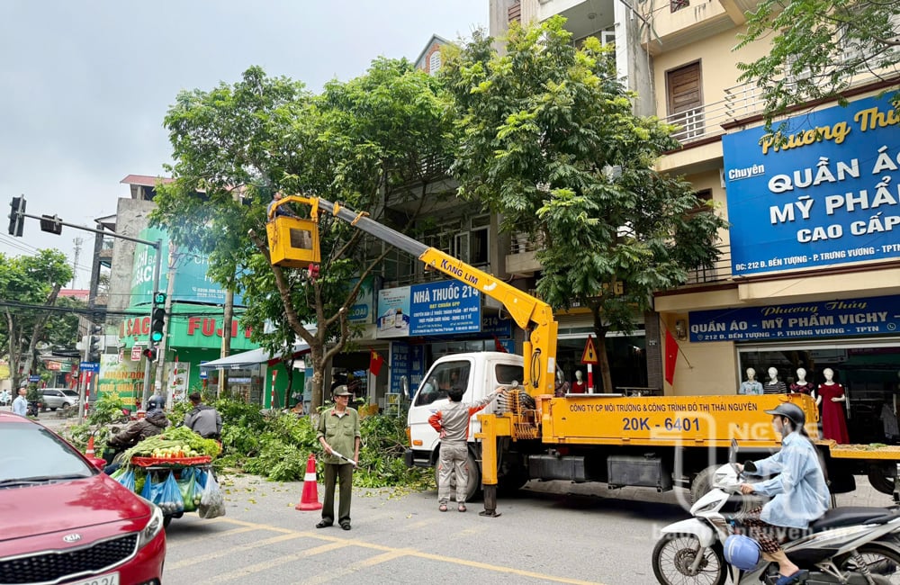 Công ty CP Môi trường và Công trình đô thị Thái Nguyên tiến hành cắt tỉa cây xanh trên đường Bến Tượng (TP. Thái Nguyên).
