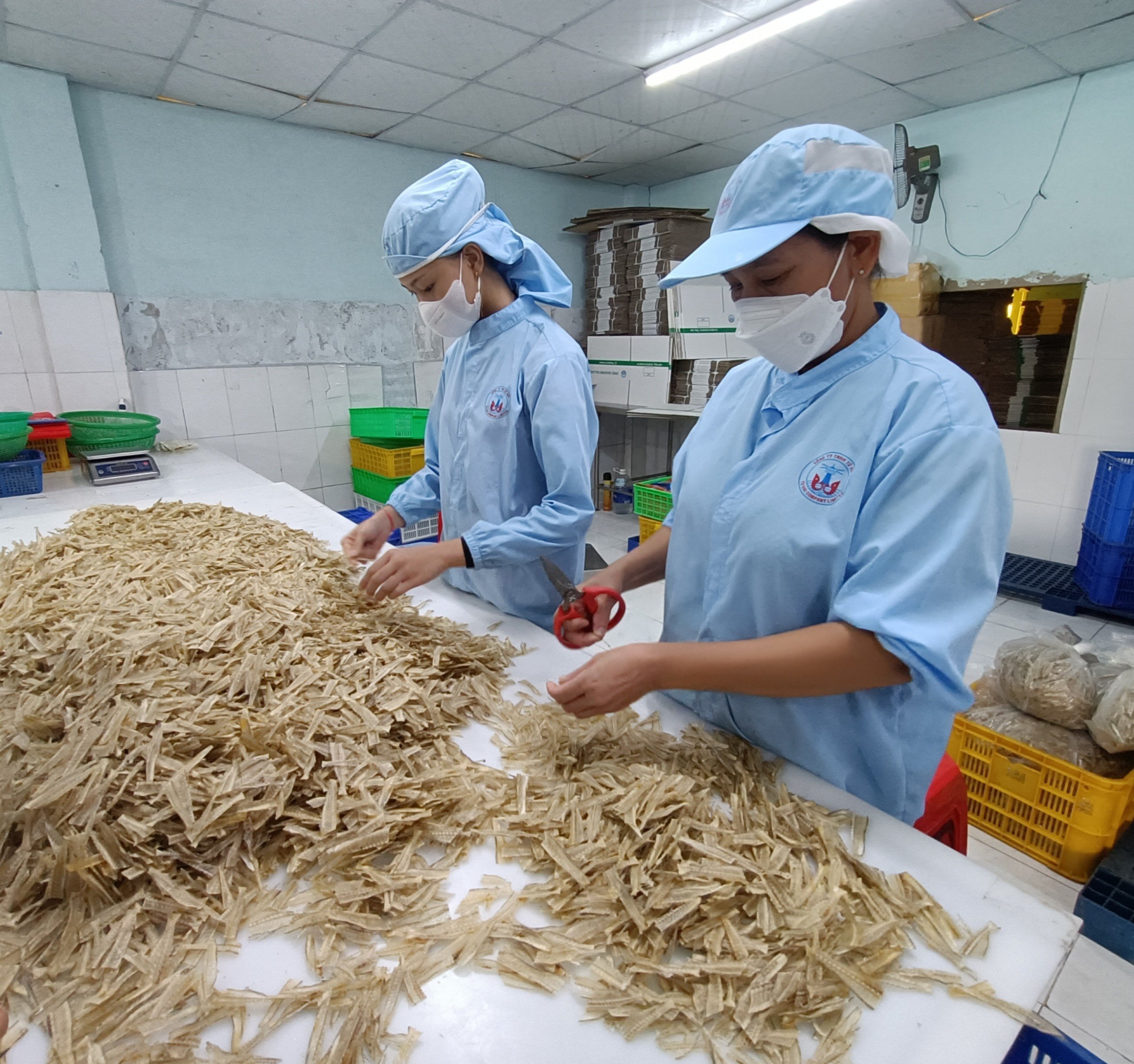 Công nhân Công ty TNHH Tứ Hải (TP.Vũng Tàu) chế biến xương cá đục sấy khô xuất khẩu.
