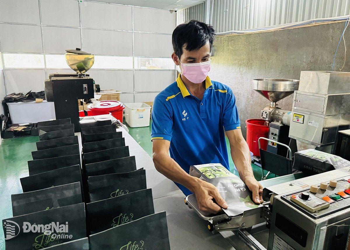 សហគ្រាសឯកជនមួយនៅស្រុក Dinh Quan វិនិយោគលើការកែច្នៃផលិតផលកាហ្វេយ៉ាងស៊ីជម្រៅ។ រូបថត៖ B.Nguyen