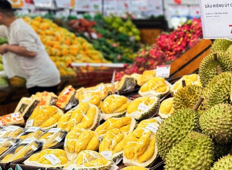 Chuẩn hóa hệ thống tiêu chuẩn kỹ thuật cho ngành hàng sầu riêng
- Ảnh 1.