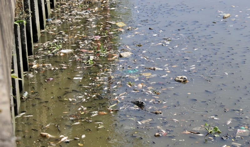After heavy rain, dead fish floated on Nhieu Loc-Thi Nghe canal -4