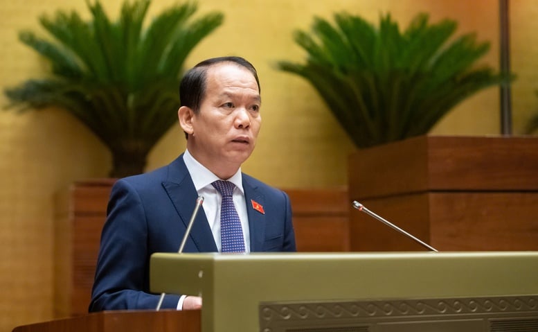 Đề xuất thành lập Tòa án nhân dân khu vực, Tòa chuyên trách về Phá sản, Sở hữu trí tuệ - Ảnh 2.