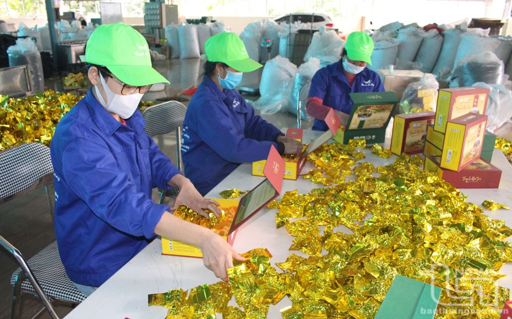 Đóng gói sản phẩm tại Hợp tác xã chè La Bằng.
