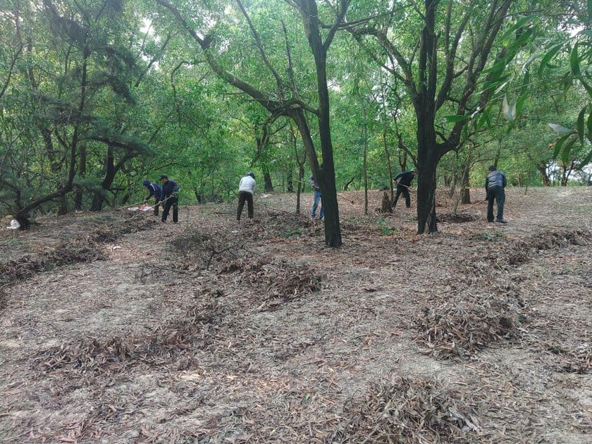 Xử lý vật liệu cháy có kiểm soát trước mùa nắng nóng tại khu vực rừng phòng hộ TP. Đồng Hới và khu vực rừng phòng hộ ven biển Nam Quảng Bình.