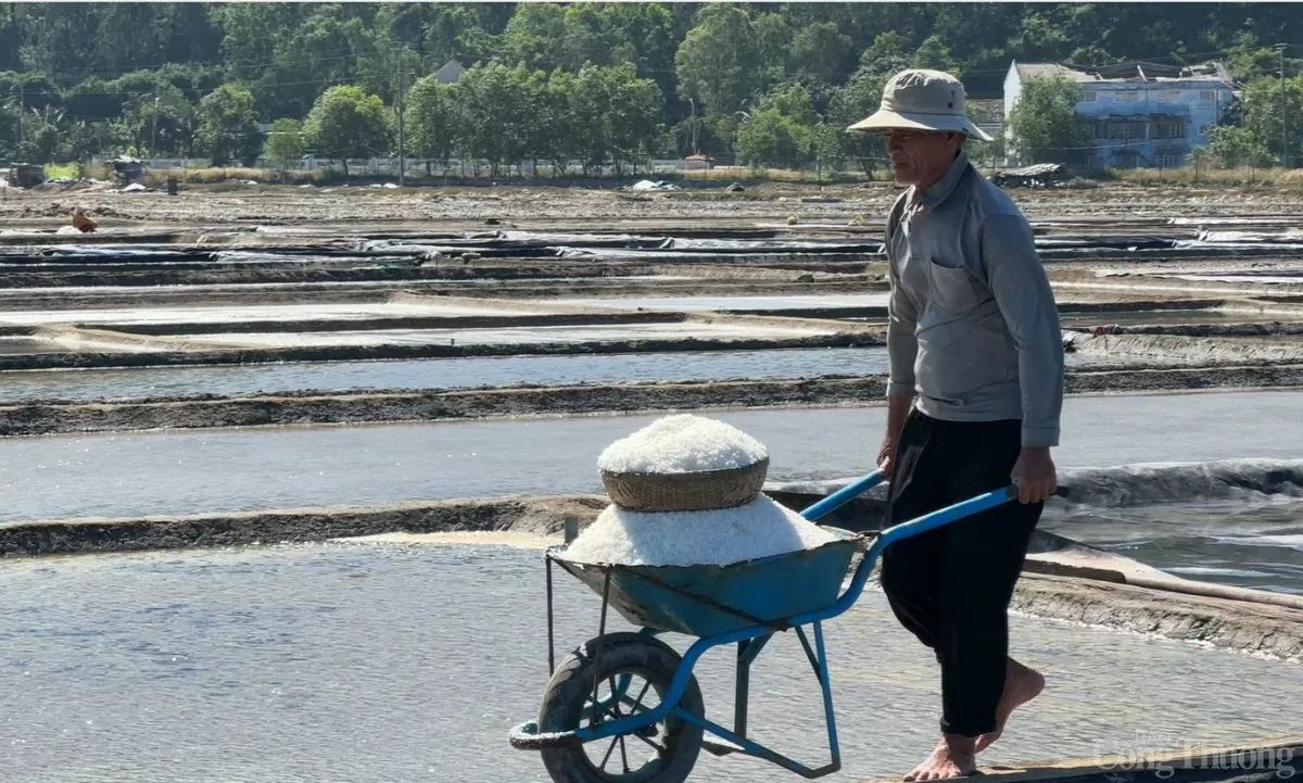 ឧស្សាហកម្មផលិតអំបិល Sa Huynh បាត់ខ្លួនចំពេលបេតិកភណ្ឌវប្បធម៌