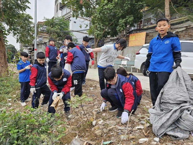 Liệu cơm gắp mắm ảnh 1