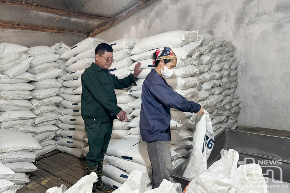 Hiện nay, nhiều trang trại, cơ sở chăn nuôi trên địa bàn tỉnh trộn men vi sinh với thức ăn cho gia súc, gia cầm, thực hiện hiệu quả việc xử lý chất thải chăn nuôi.