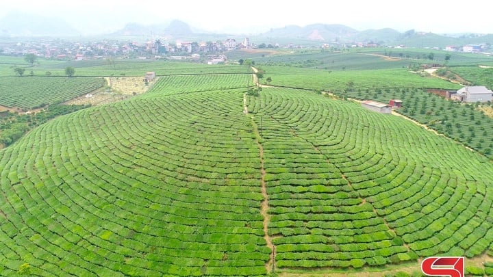 ចូលរួមបោះឆ្នោតផ្តល់រង្វាន់ទេសចរណ៍សម្រាប់តំបន់ទេសចរណ៍ជាតិម៉ុកចូវ
