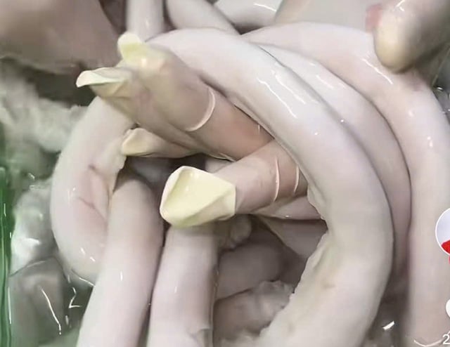 Làm sao phân biệt lòng se điếu thật - giả? - Ảnh 2.