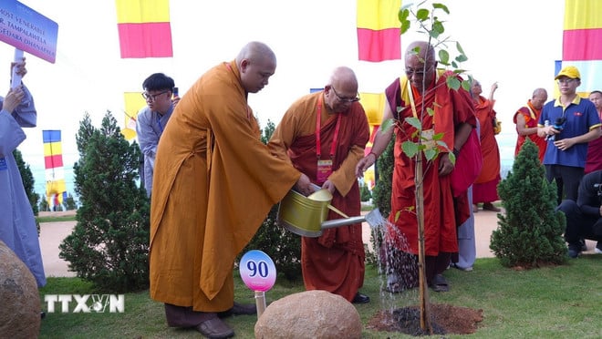 ttxvn-vesak-2025-6.jpg
