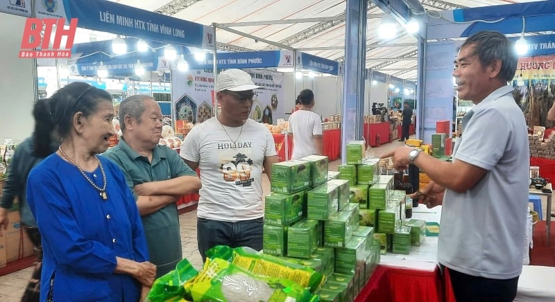 Tỉnh Thanh Hoá tham gia 3 gian hàng tại Hội chợ xúc tiến thương mại cho các HTX khu vực miền Bắc 2025