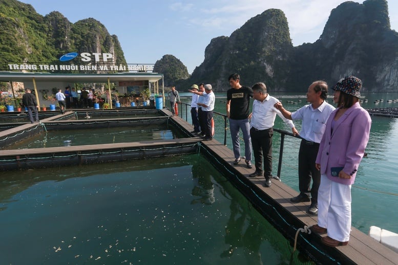 Phát triển nông nghiệp xanh bền vững cần sự chung tay của cộng đồng- Ảnh 1.