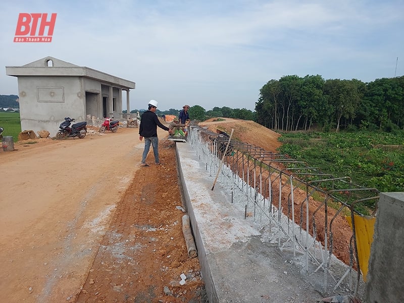 Gấp rút tu bổ các điểm xung yếu đê điều phục vụ phòng, chống lụt bão