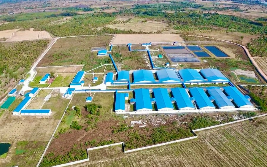 Ủy ban nhân dân tỉnh vừa cấp giấy phép môi trường cho dự án trang trại chăn nuôi heo thịt tại xã Ia Piơr (huyện Chư Prông). Ảnh: Hà Duy