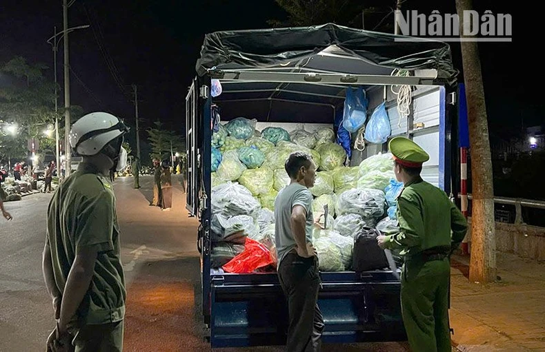 Sơn La phát hiện nhiều rau, củ, quả có chất gây hại ảnh 5