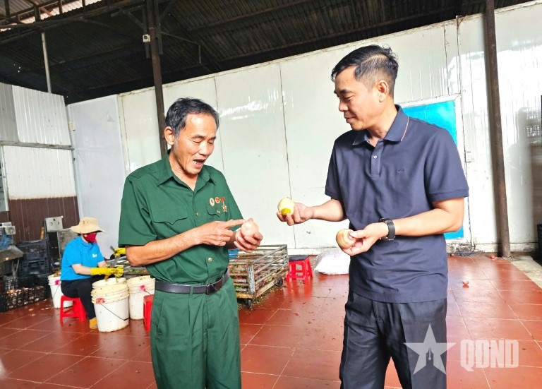 ពី commando ទៅនាយកក្រុមហ៊ុនកសិកម្ម