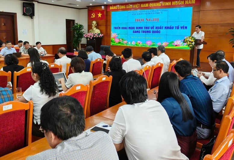 Cơ hội và thách thức xuất khẩu tổ yến sang Trung Quốc- Ảnh 2.
