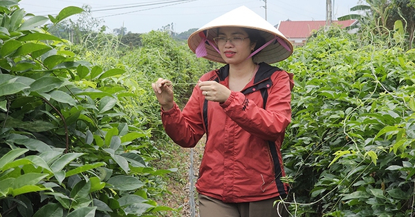 Nữ giám đốc khởi nghiệp từ "cây giữ nhà"