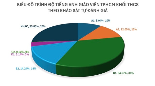 Công bố kết quả khảo sát năng lực tiếng Anh của cán bộ, giáo viên TP HCM- Ảnh 2.