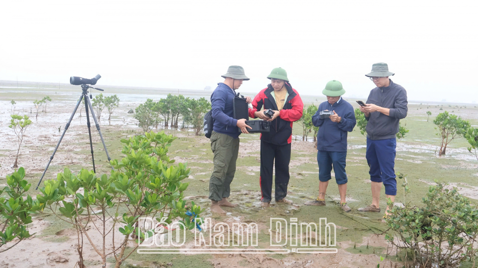 Cán bộ Vườn quốc gia Xuân Thuỷ thường xuyên thực hiện nhiệm vụ quan trắc dữ liệu khí tượng thuỷ văn theo đúng quy định. (Ảnh Cơ sở cung cấp)