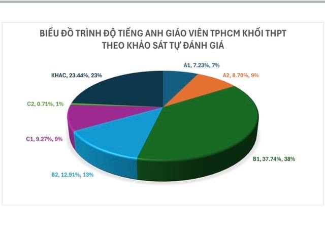 Công bố kết quả khảo sát năng lực tiếng Anh của cán bộ, giáo viên TP HCM- Ảnh 3.