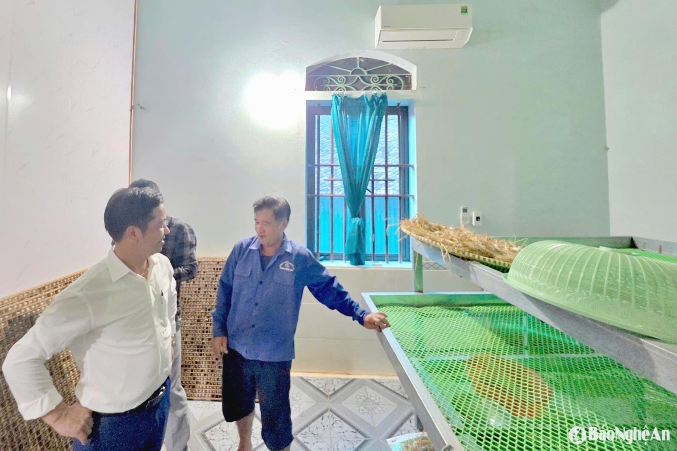 bna_room-nuoi-tam-lanh.jpg