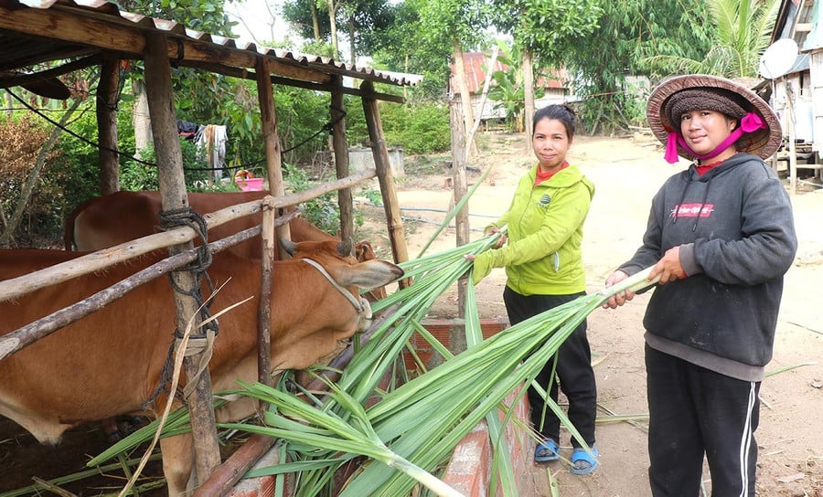 3tchi-dinh-thi-sieng-ben-phai-o-lang-po-nang-xa-tu-an-thi-xa-an-khe-cham-soc-dan-bo-duoc-ho-tro-anh-ngoc-minh.jpg
