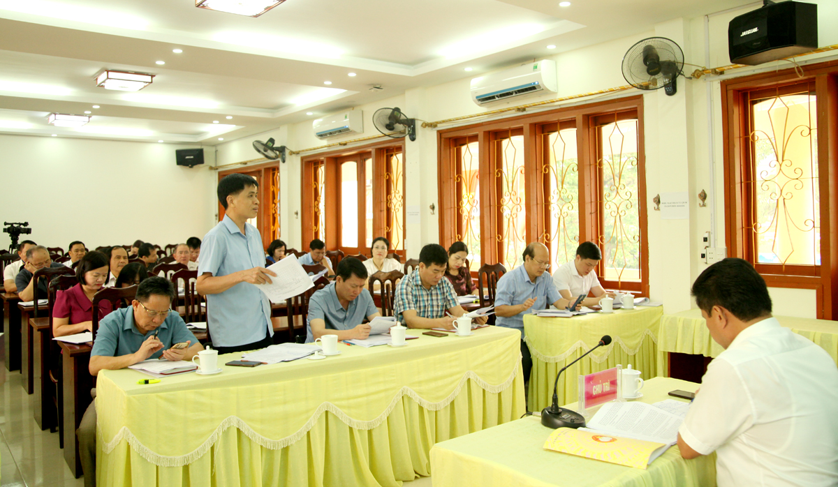 Lãnh đạo Liên đoàn Lao động tỉnh tham gia ý kiến tại hội nghị.