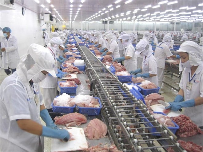 Chế biến thủy sản để xuất khẩu. Ảnh: Vietnam+