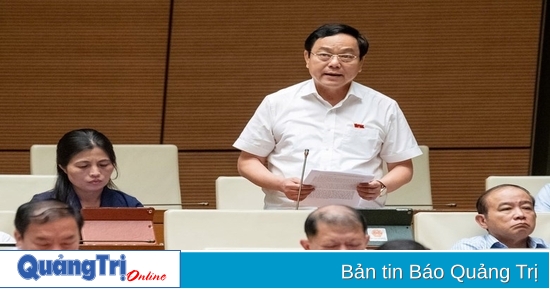 Quang Tri州の国会の委任特別消費税に関する法律について議論する