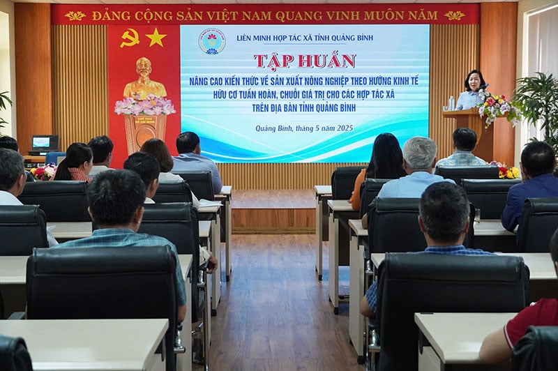 Toàn cảnh lớp tập huấn.