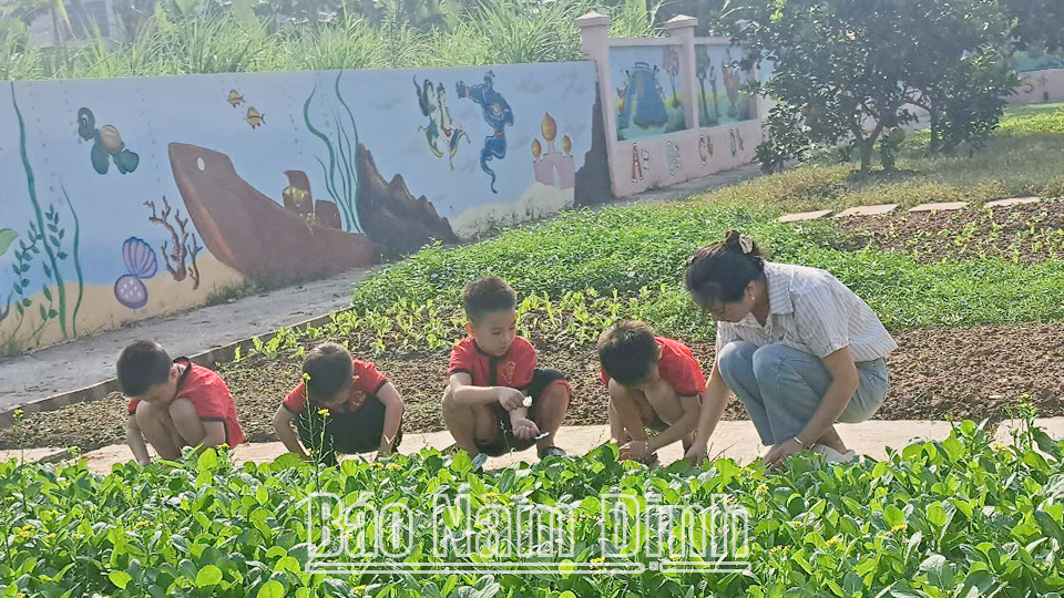 គ្រូបង្រៀននៅសាលាមត្តេយ្យ Hong Quang (Nam Truc) ណែនាំកុមារឱ្យរៀនអំពីបន្លែបៃតងនៅក្នុងសួនសាលា។