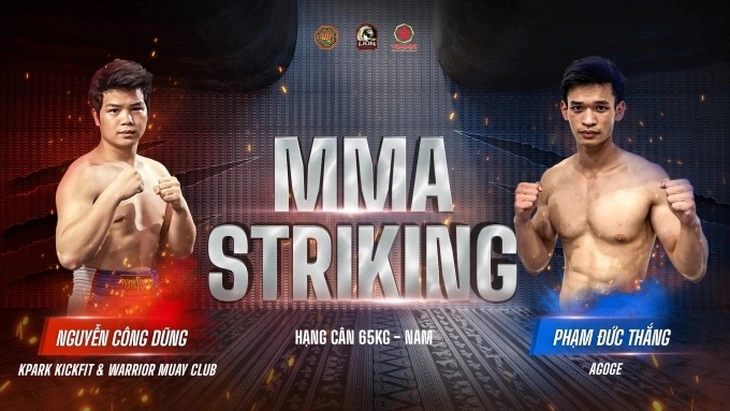 Lion Championship  - Ảnh 1.