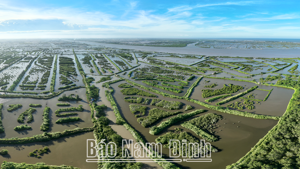 Một góc Vườn quốc gia Xuân Thủy (