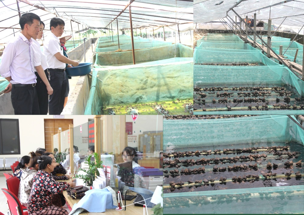 ប្រជាជនទទួលបានប្រាក់កម្ចីពី Agribank Thanh Hoa
