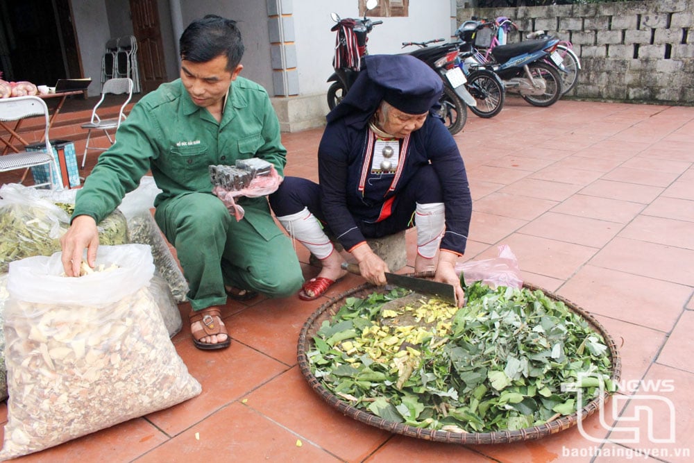 Người Dao ở thị trấn Quân Chu chuẩn bị các nguyên liệu để làm cao dược liệu.
