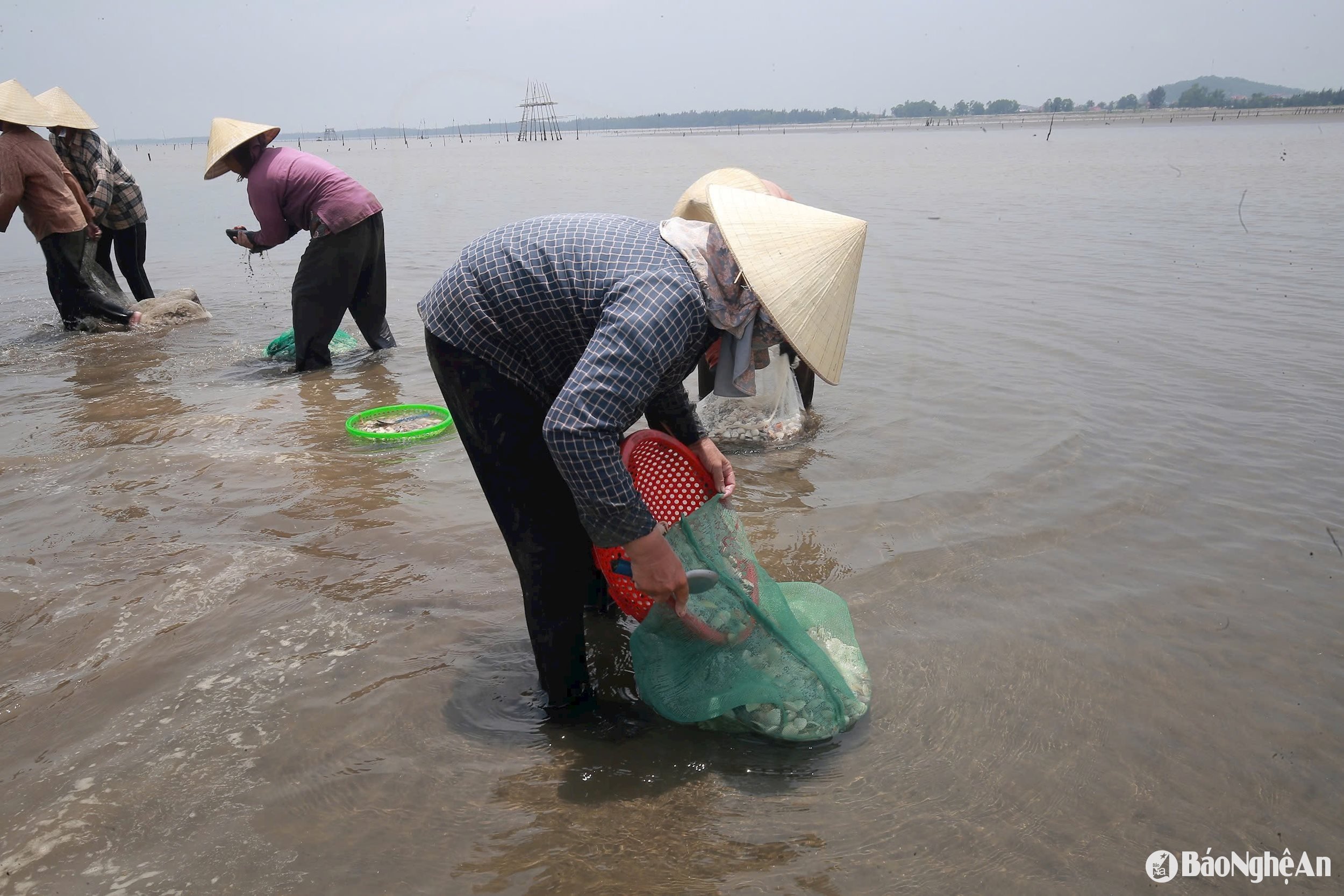 rửa 3