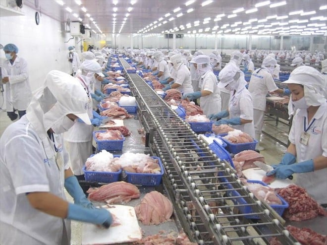 Chế biến thủy sản để xuất khẩu. Ảnh: Vietnam+