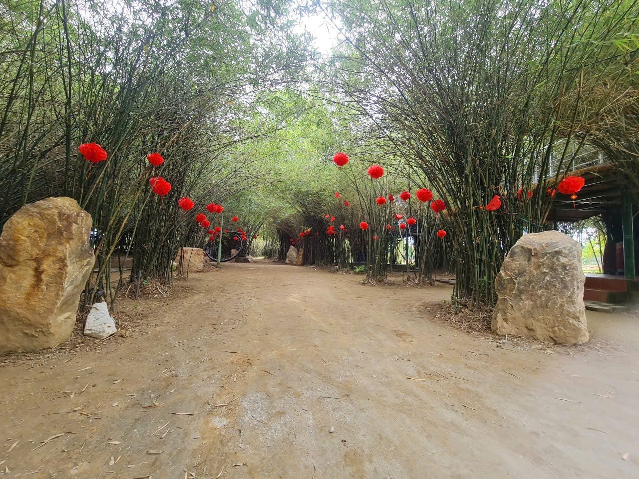 VUON TRUC