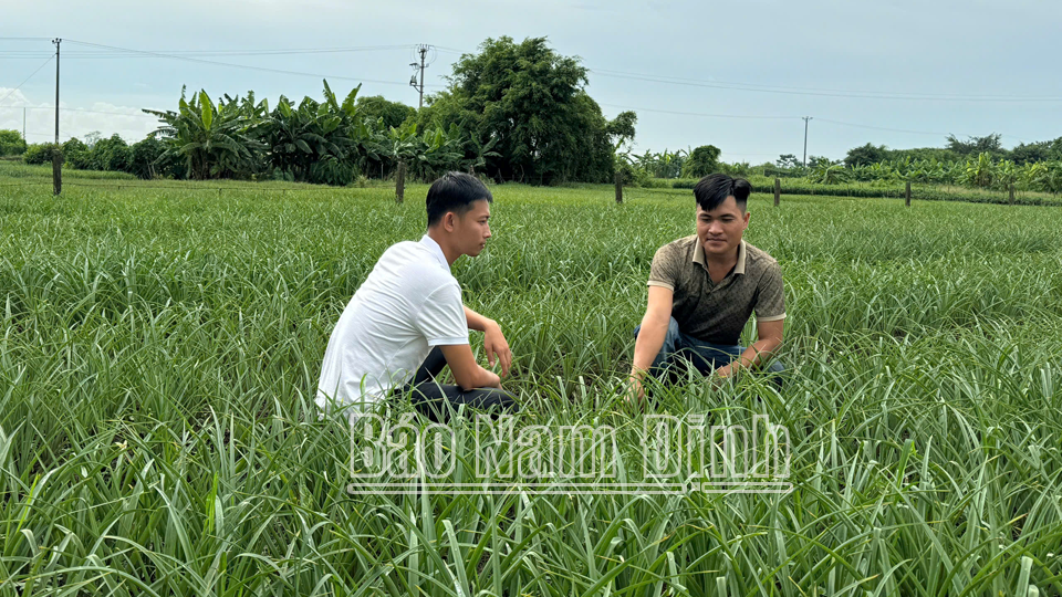 Anh Vũ Minh Thịnh (bên phải), xã Mỹ Tân (thành phố Nam Định) trao đổi kinh nghiệm trồng hoa cho thanh niên địa phương.