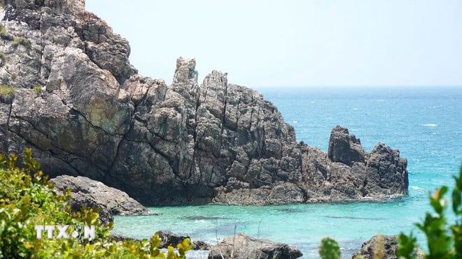 ttxvn-mui-vi-rong-binh-dinh-1.jpg