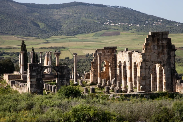 khu-khao-co-volubilis.webp