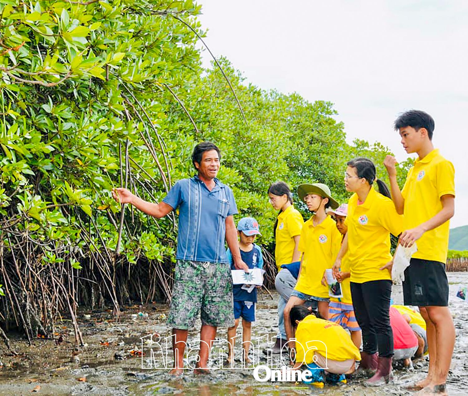 Học sinh được tuyên truyền về lợi ích và trách nhiệm bảo vệ rừng ngập mặn 
ven đầm Nha Phu.
